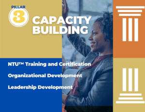 Pillar 3: Capacity Building